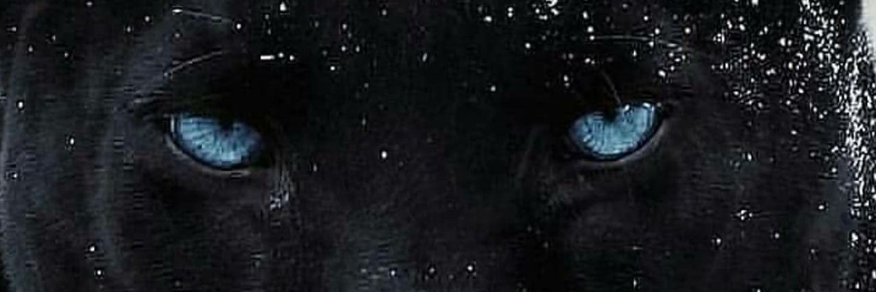 Cristina Miranda's banner