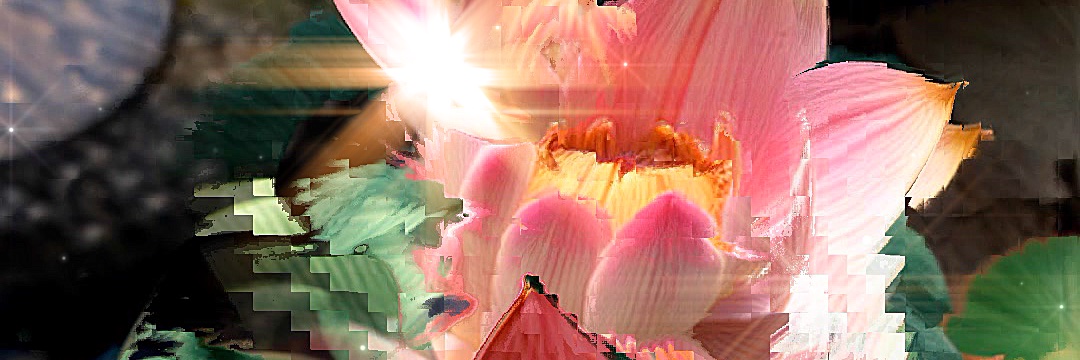 Saeko Ehara / Artist and VJ's banner