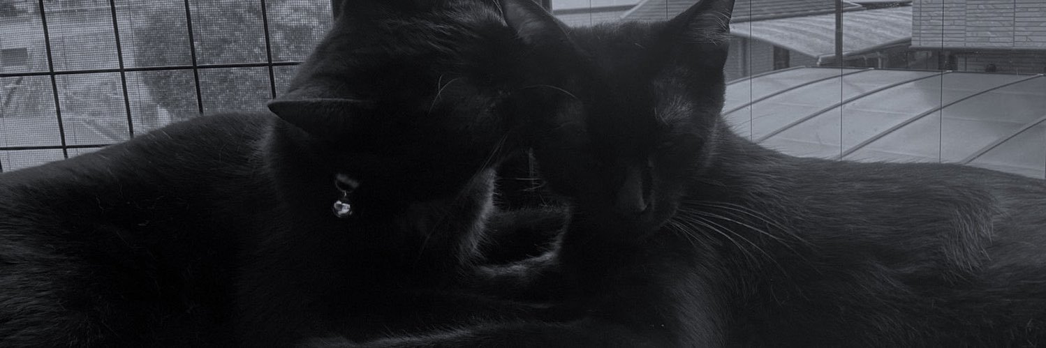 Veze🐈‍⬛'s banner