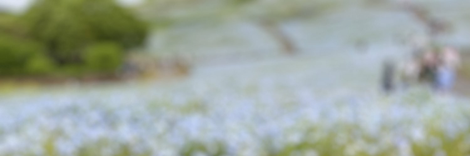 Juliy's banner
