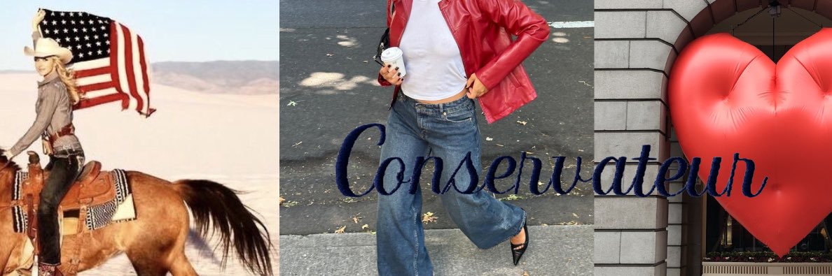The Conservateur's banner