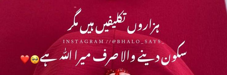 زیــــــــــZ𝗮𝗶𝗻𝗮𝗯ـــــــــنب's banner