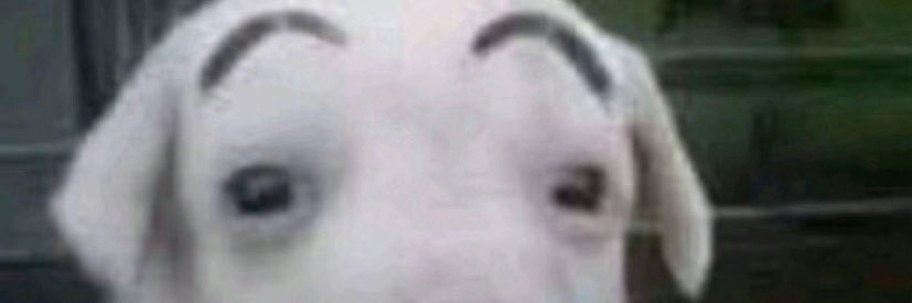 SŇØ°PŸ's banner
