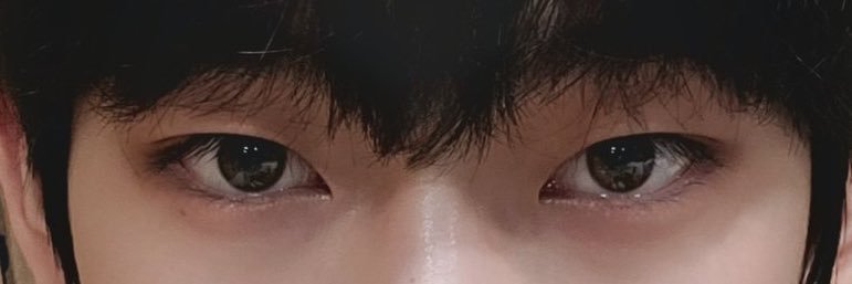 TG 🦊🌻's banner