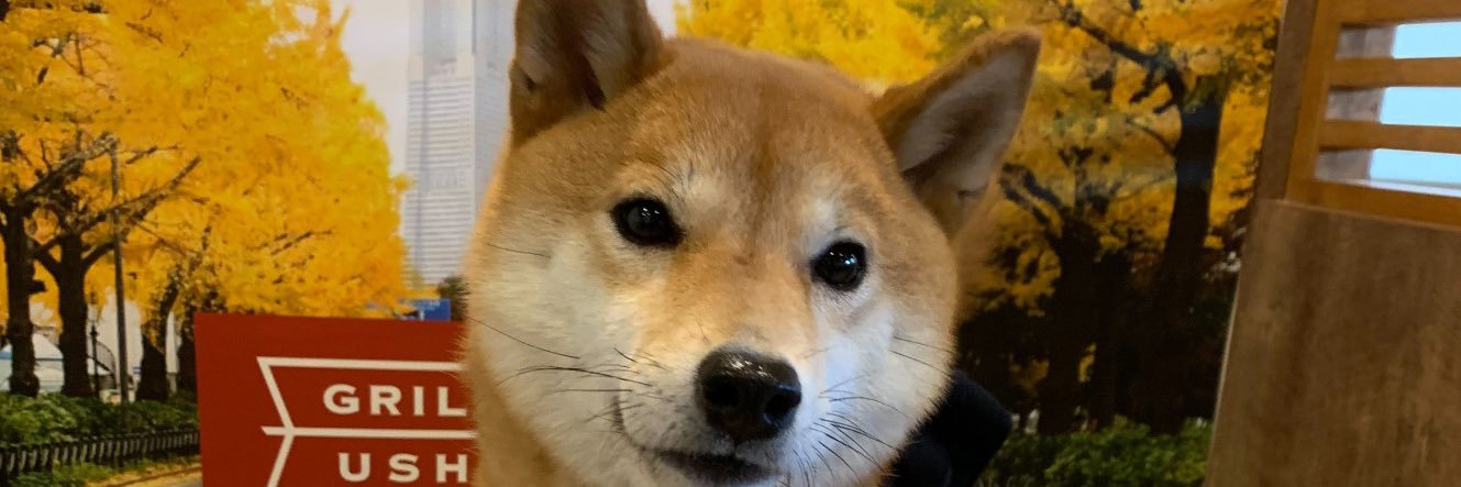 しおんのパパ's banner