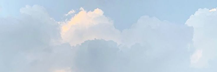 lola🎀's banner