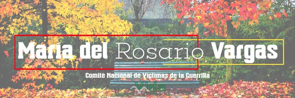 María del Rosario Vargas's banner