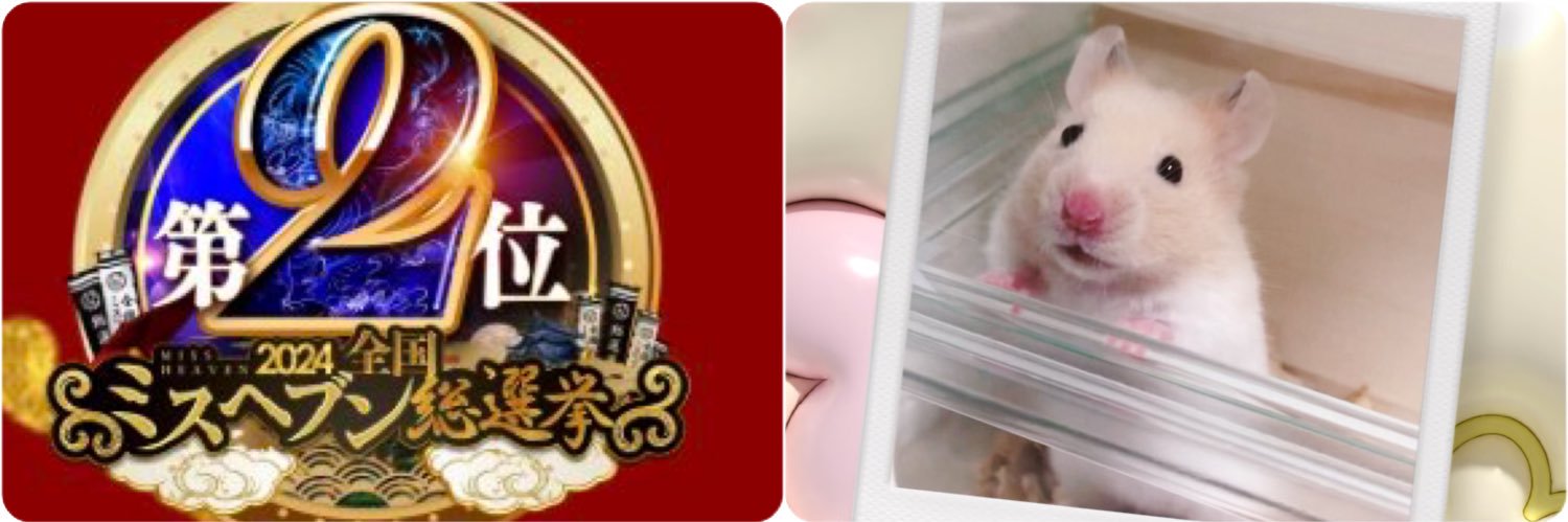 ୨୧こはるん୨୧🐹ミスヘブン東京2位🌟池袋パイレーツ🤍's banner