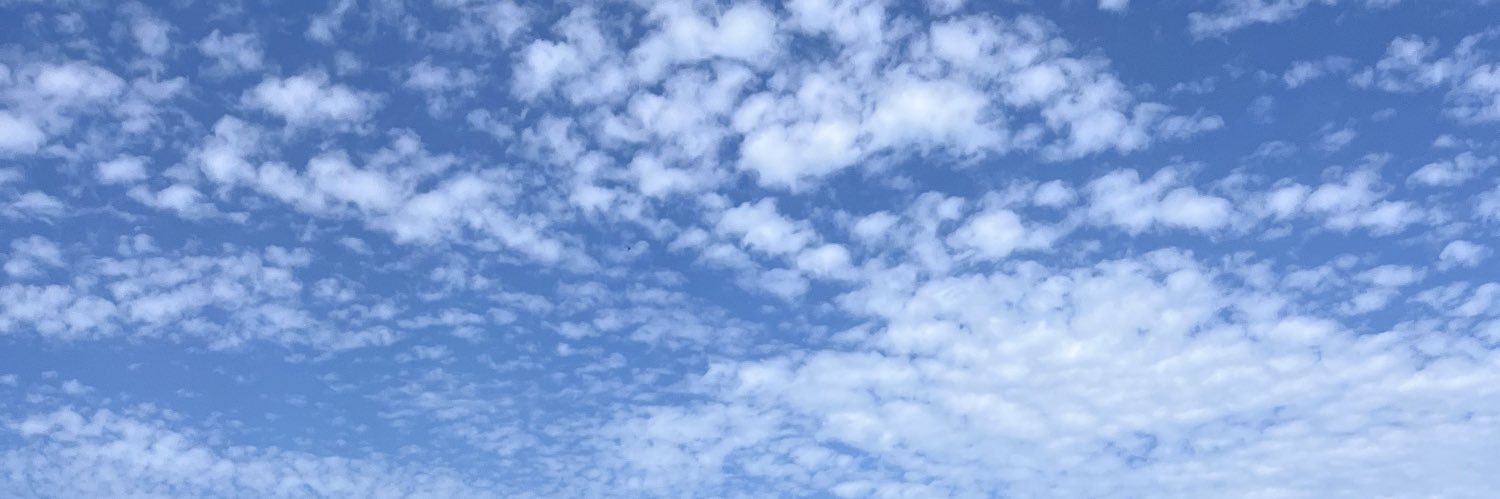Daianehotangel 🧚🏿's banner