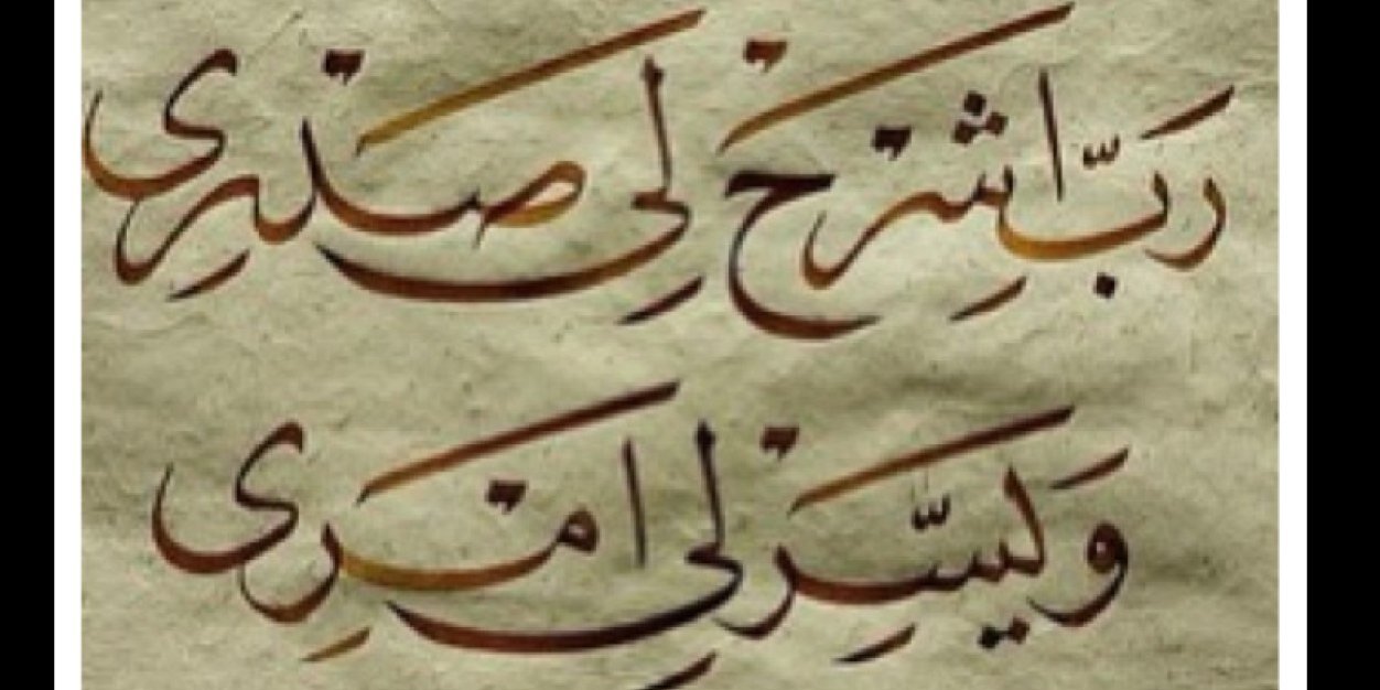 حامد شبكوه's banner