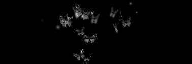 شاناز🦋's banner