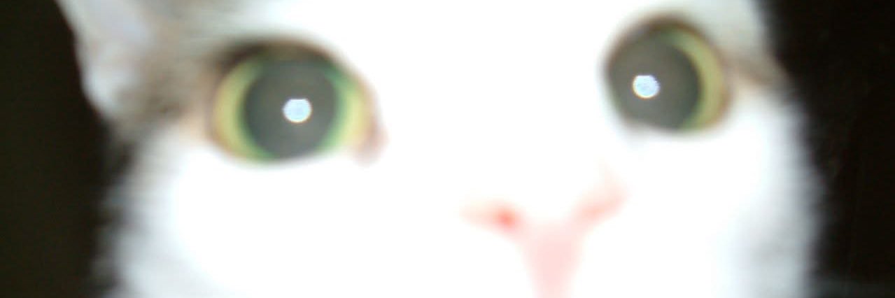 𝓒ꕤꕤ⌯ഒ⋆ ✦ꮺᯅᯅ⋆ǂଘꮺᯅ's banner