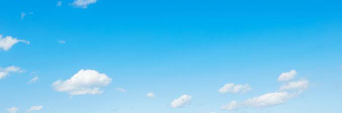 炒飯's banner