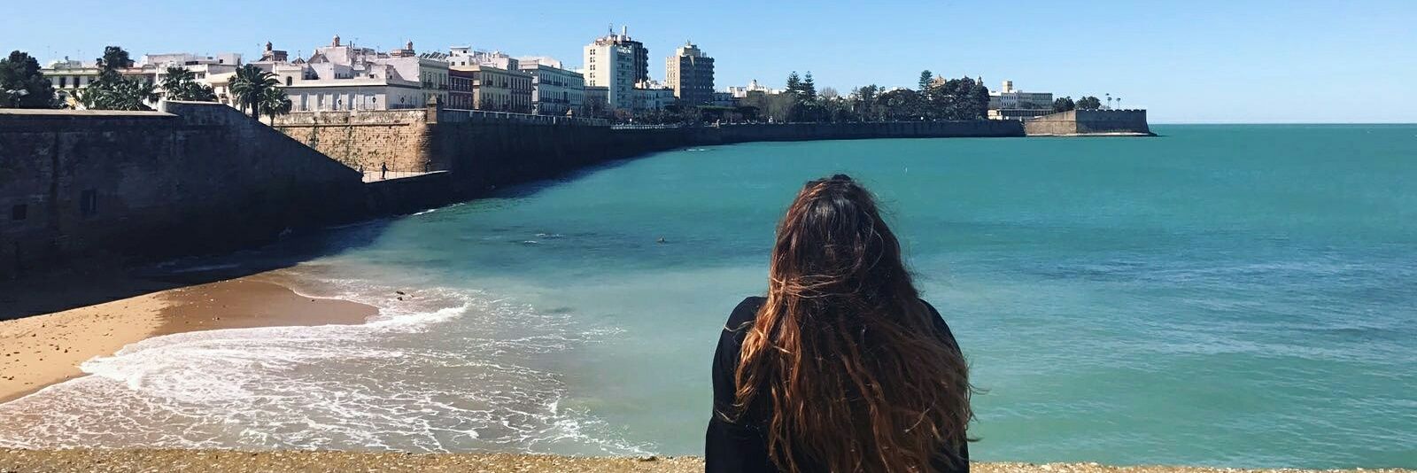 cris💭🦕's banner