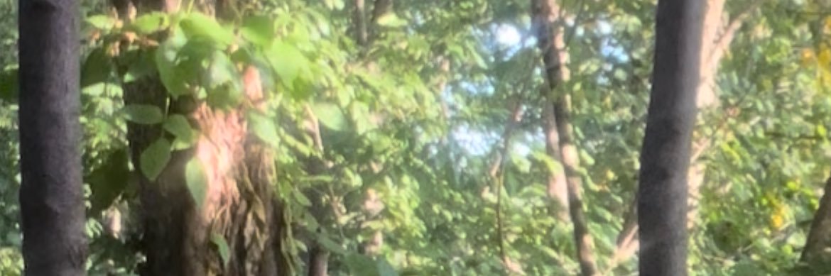 B L A D E ⚡️K E N N E D Y's banner