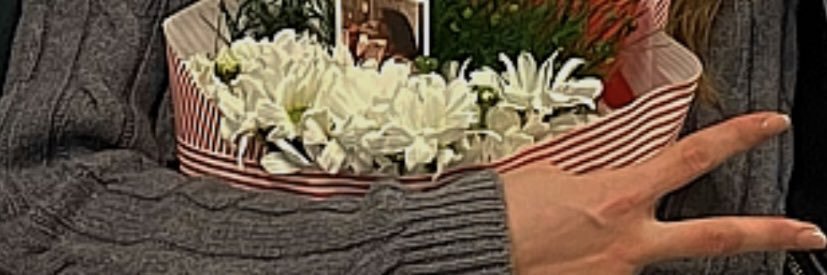 zehra's banner