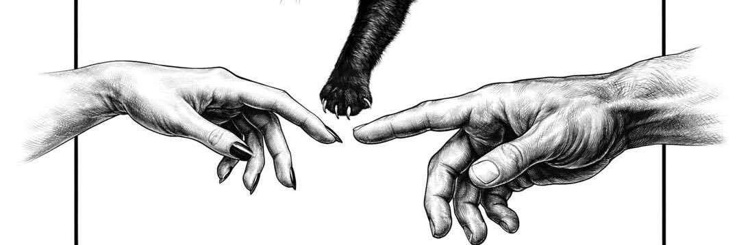 𝐆𝐫𝐚𝐳𝐢𝐚 𝐍𝐞𝐫𝐚 🐈‍⬛'s banner