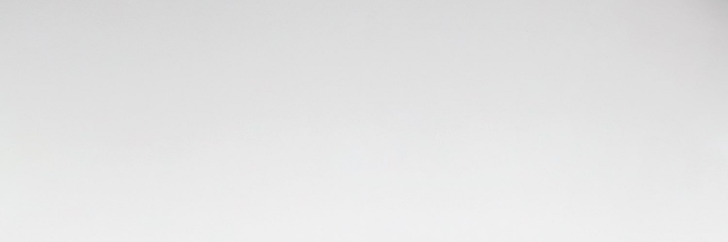 ARIETE's banner