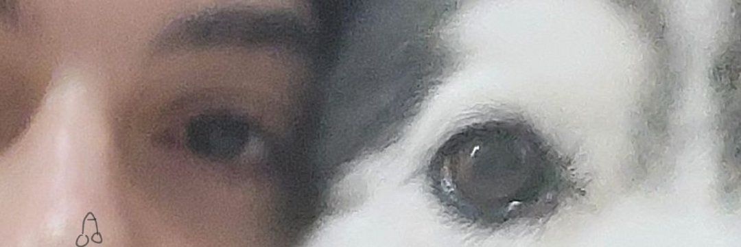 Reesha's banner