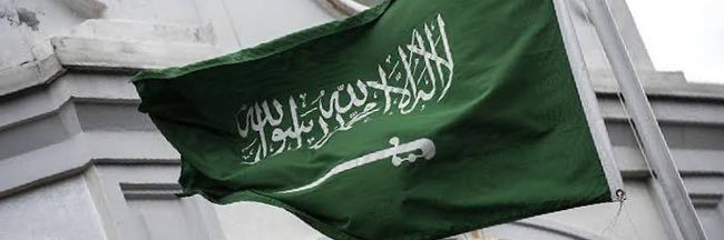 محمد بن منصور's banner