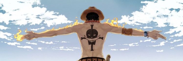 Y.'s banner