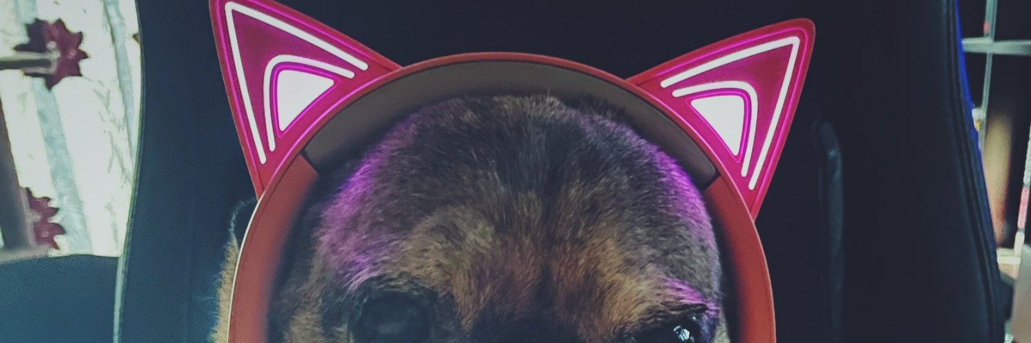 McDizzle Gaming's banner