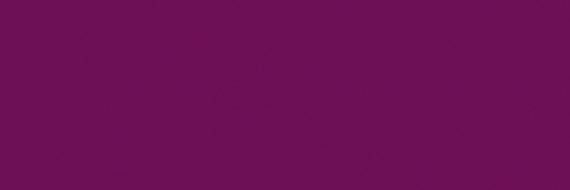 Paulina Amozurrutia's banner