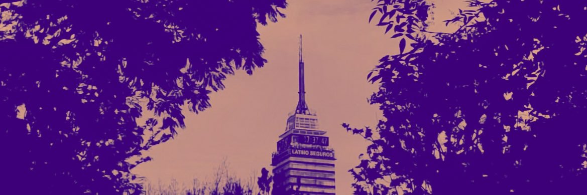 Maleny Navarro's banner