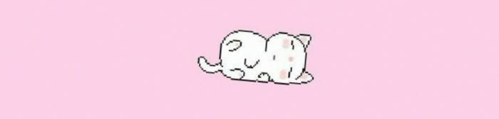 胖头鱼 ☁️'s banner