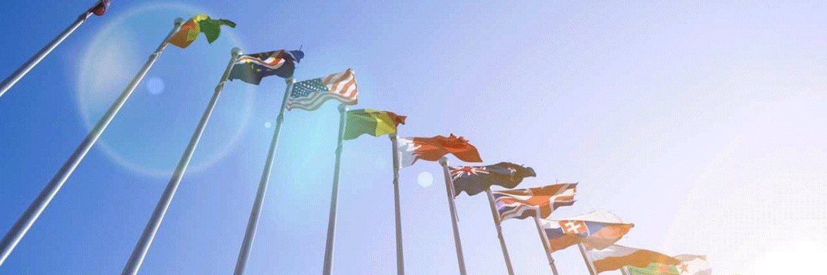 Simin Fahandej's banner