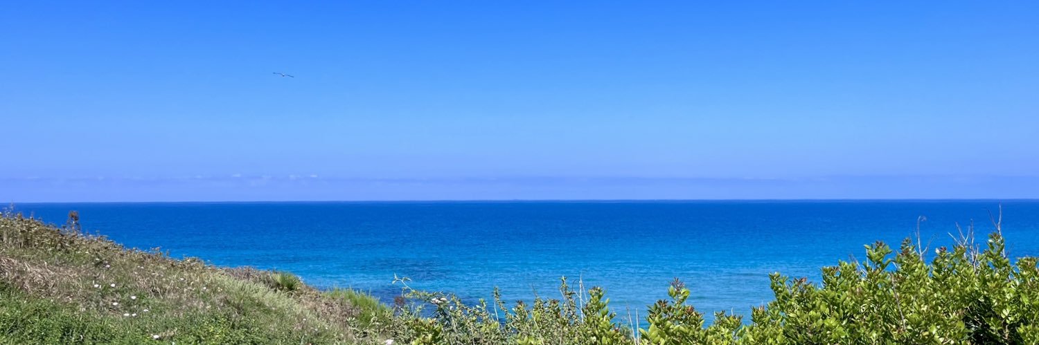 slxpe's banner