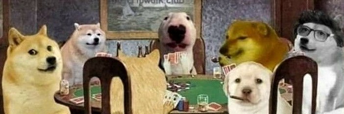 Todo Dia Cães's banner