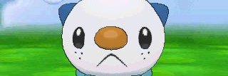 himo 🦦🌾's banner