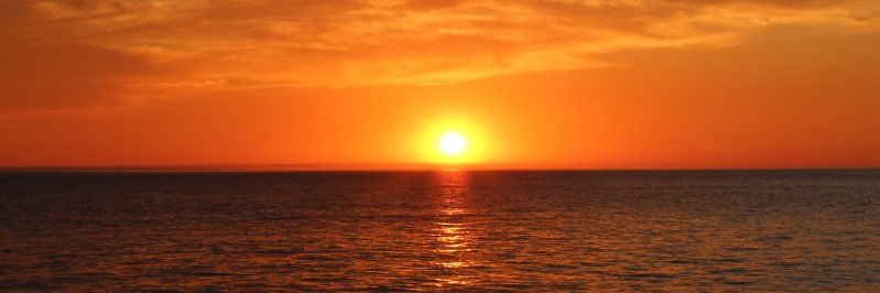 Orange Sunset's banner