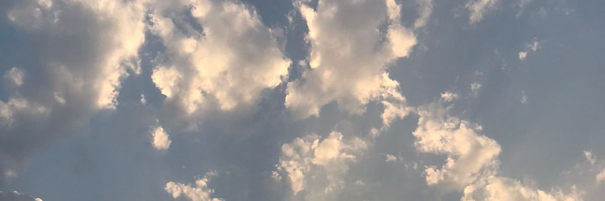 fi • ia's banner