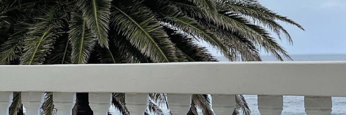 朱夏's banner