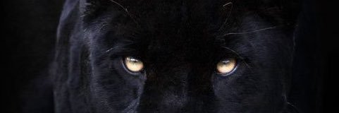 Ekrem's banner