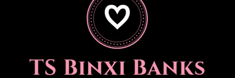 TS Binxi Banks's banner
