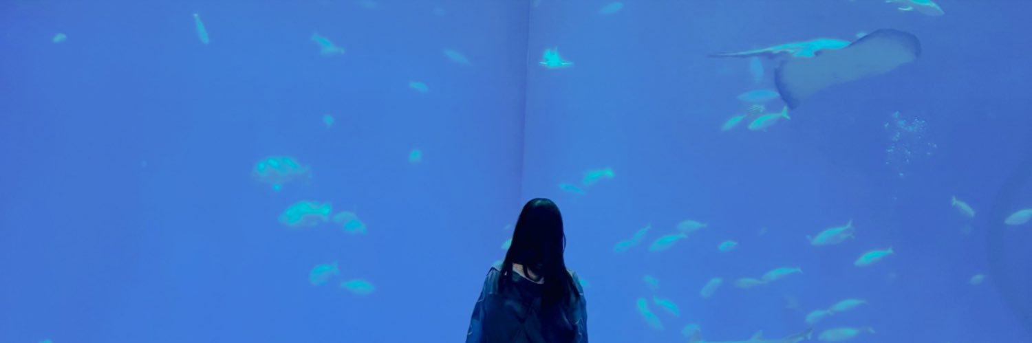 ちひろの叙情詩's banner