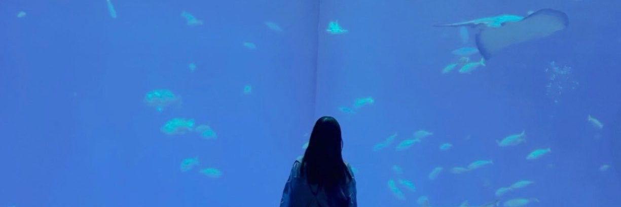 ちひろの叙情詩🦭🫧's banner