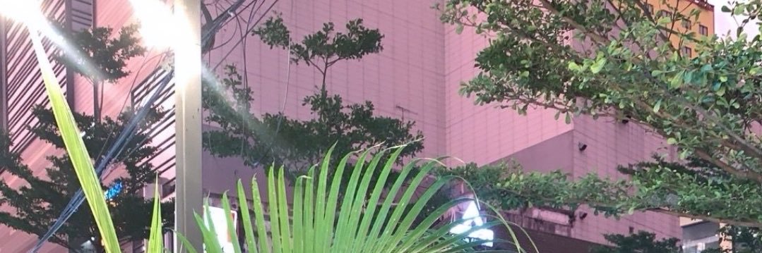 syaah's banner