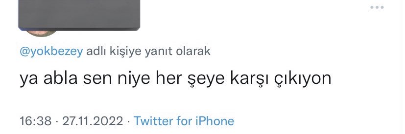 Zeynep's banner