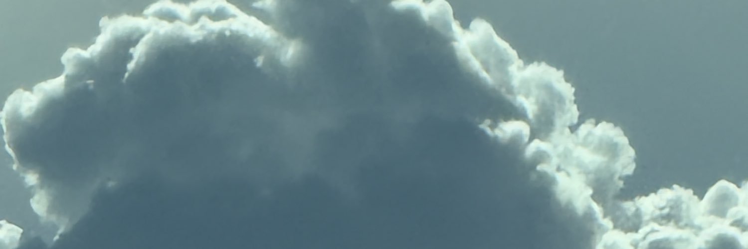 Zoe Bae's banner