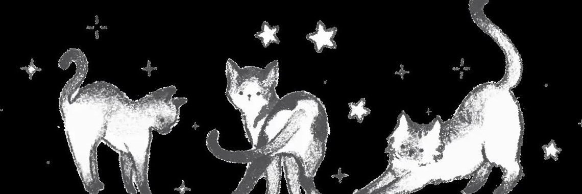 𑣲⋆lana's banner