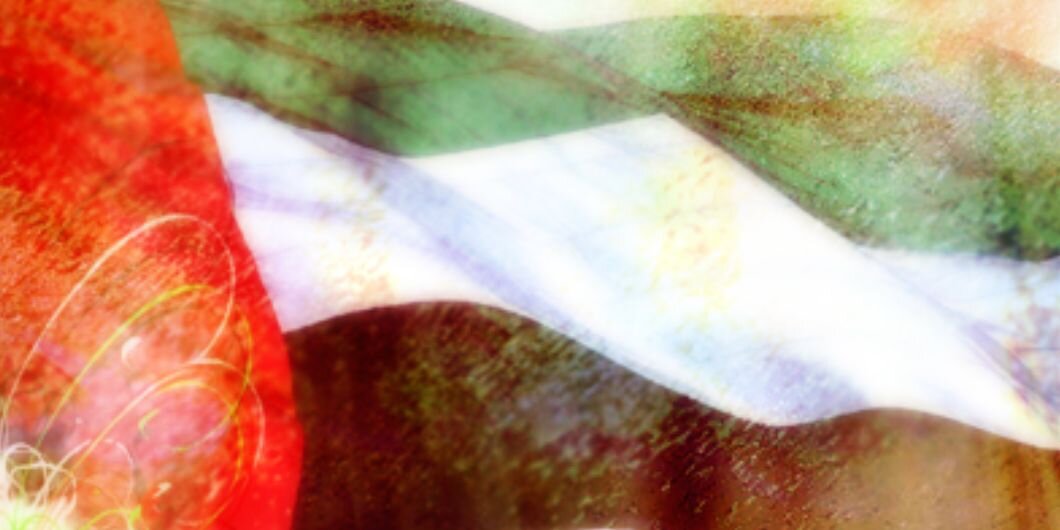 Majid Sajwani's banner