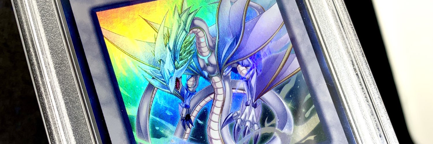 N.'s banner