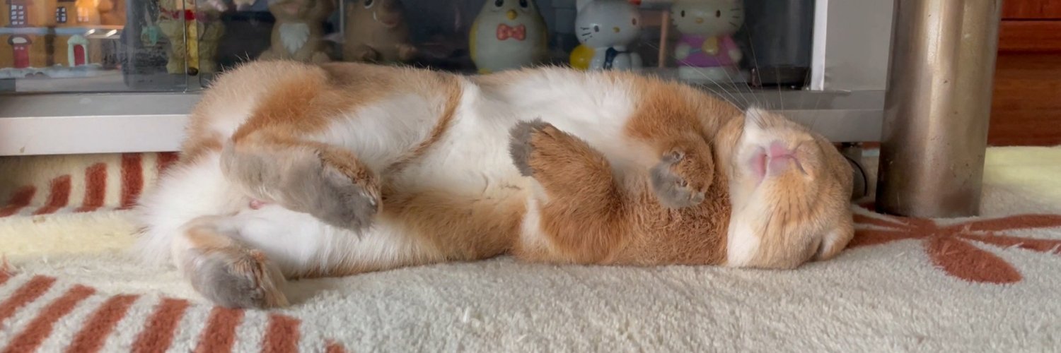 うさぎのふく's banner