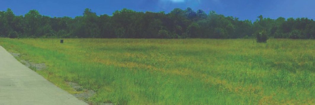 EthanTheDoodler's banner