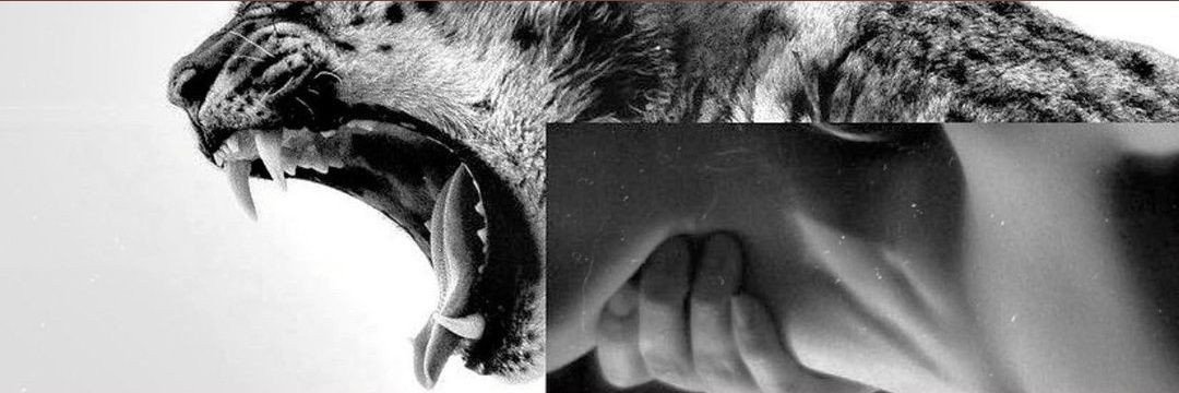 prozac's banner
