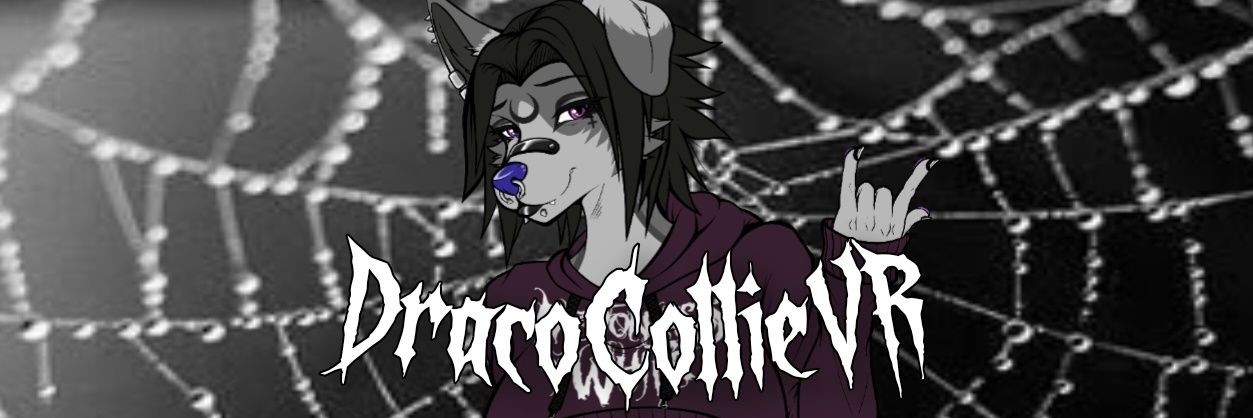DracoCollie_VR's banner